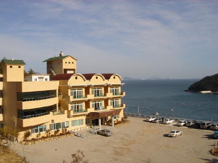 하얀연꽃 이미지 8