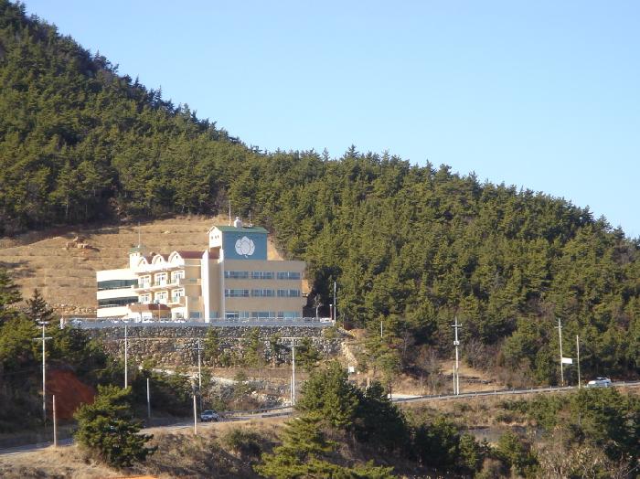 하얀연꽃 이미지 7