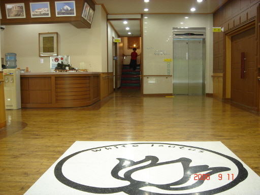 하얀연꽃 이미지 4