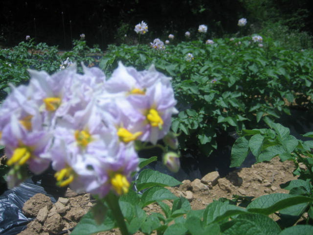 평창노인요양원 이미지 2