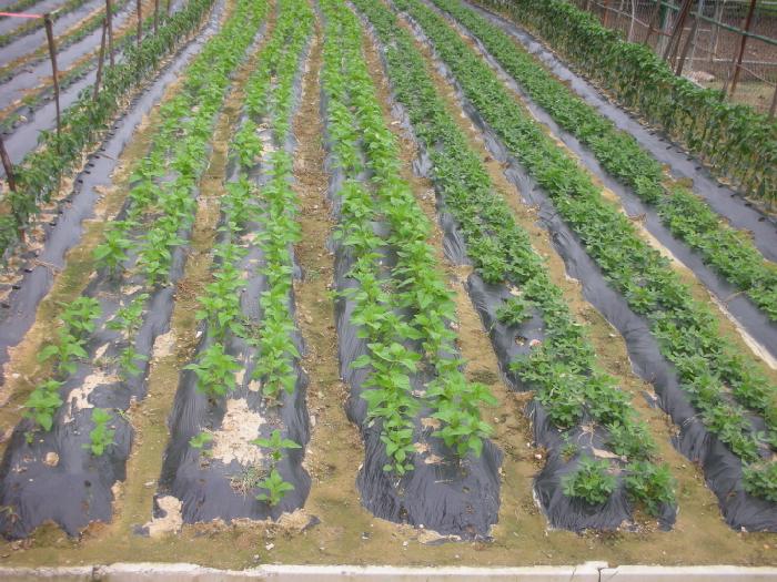 소망의집 이미지 3