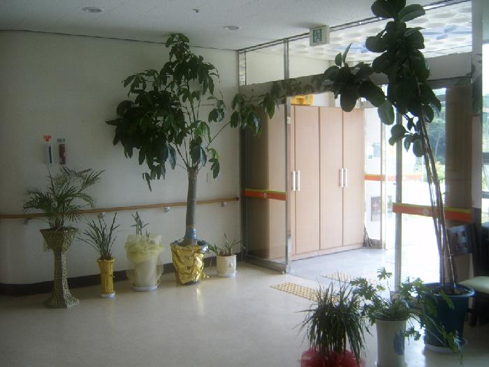 사랑요양원 이미지 12