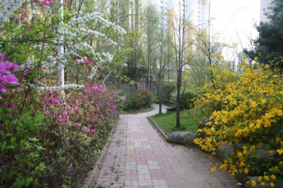 산새노인요양원 이미지 4