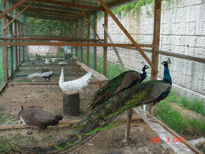 요안나의집 이미지 7