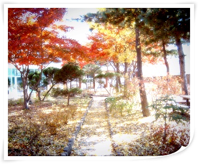 노인요양원 사랑의집 이미지 22