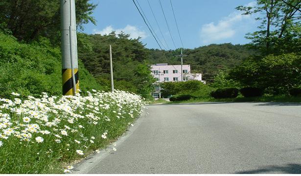 포도원 이미지 17