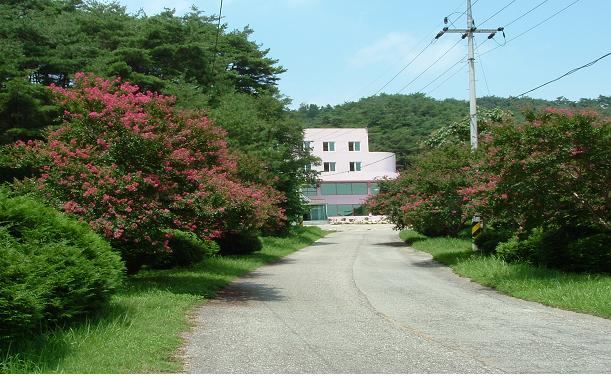 포도원 이미지 16