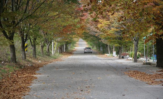 포도원 이미지 15