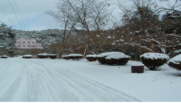 포도원 이미지 14