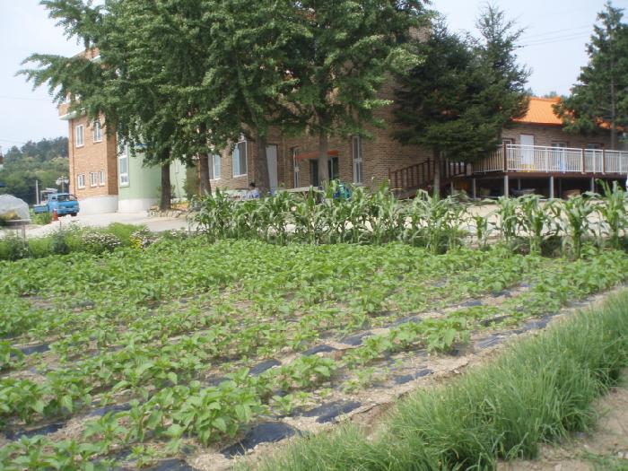 반월노인사랑의집 이미지 5