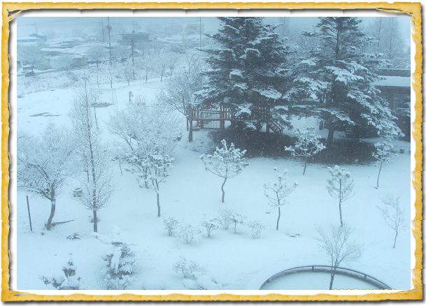 보령실버홈 이미지 41