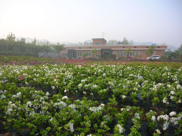 따뜻한사랑의집 이미지 12