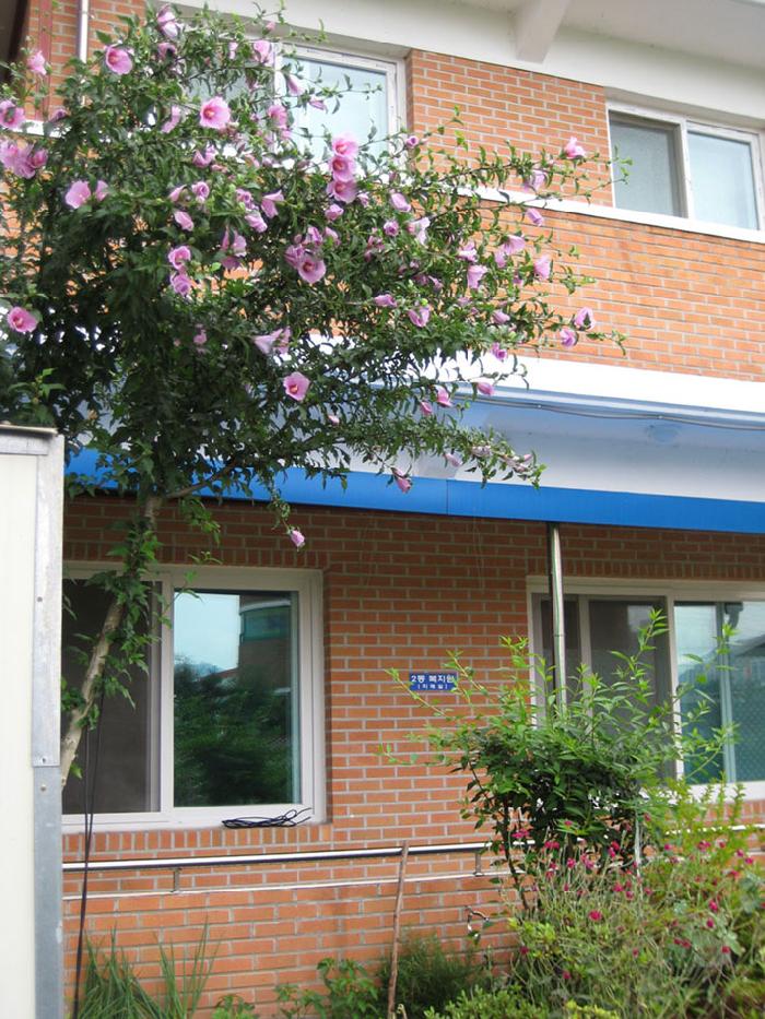 이레복지원 이미지 4