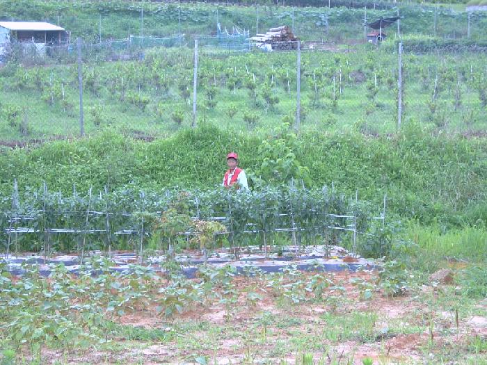 사랑의 집 이미지 9