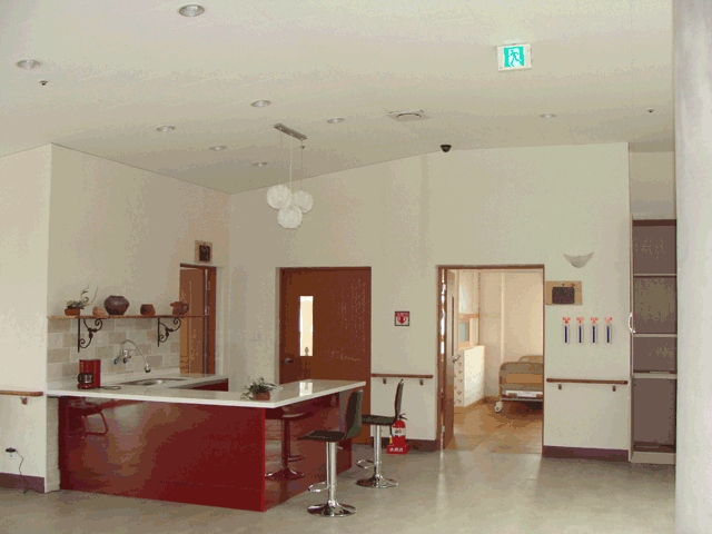 풀꽃세상 이미지 7