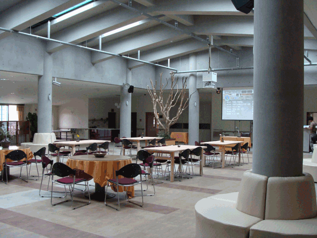 풀꽃세상 이미지 6