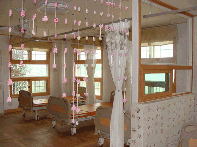 풀꽃세상 이미지 4