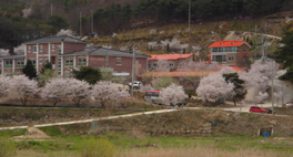 평강원 이미지 5