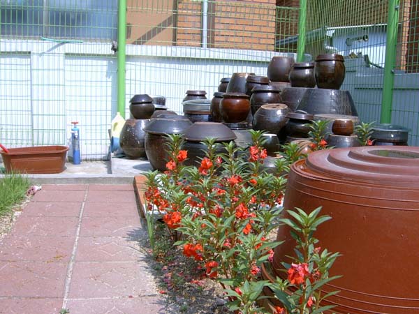 수원 아노가 요양원 이미지 8