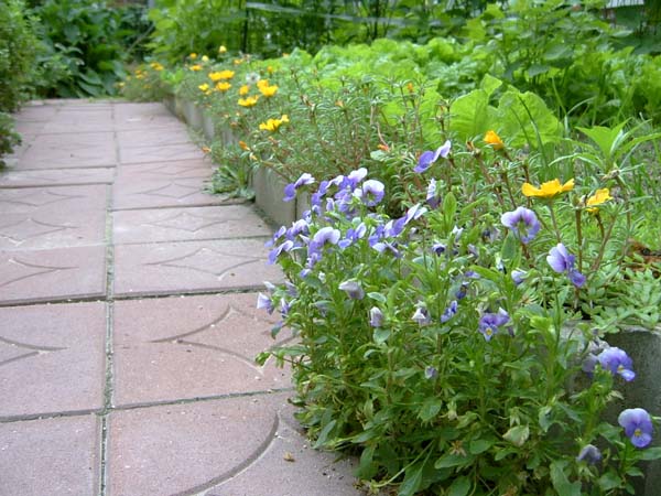 수원 아노가 요양원 이미지 7