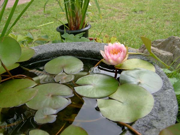 수원 아노가 요양원 이미지 6