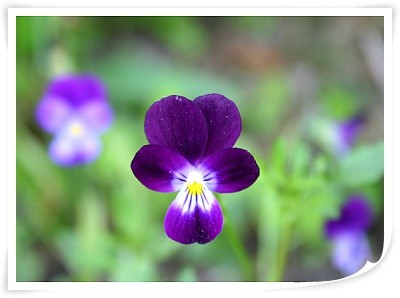 해뜨는마을 이미지 28