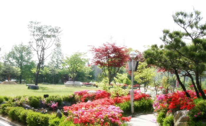 선우치매센타 이미지 8