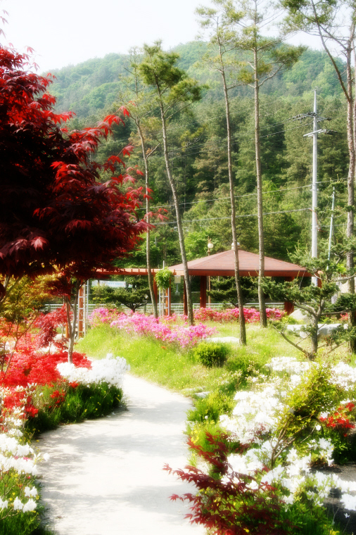 선우치매센타 이미지 7