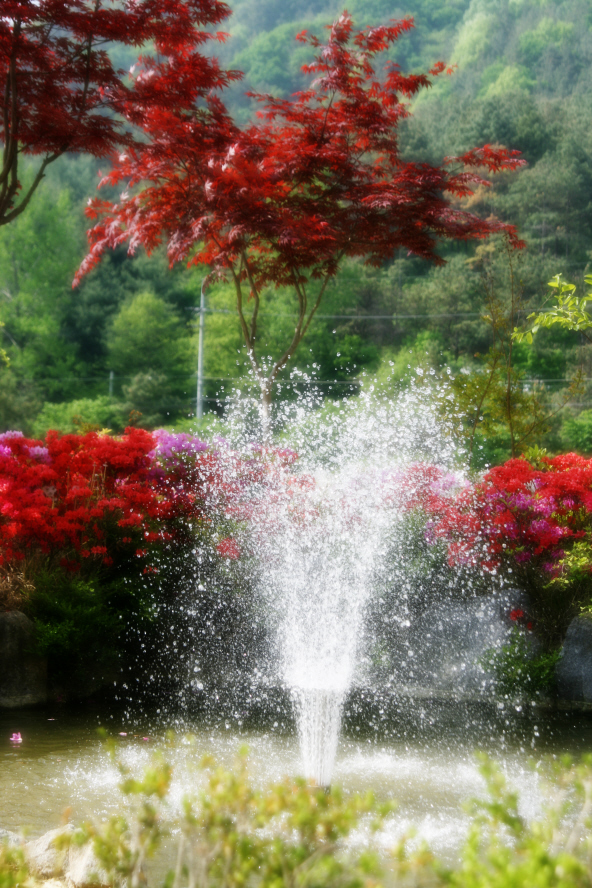 선우치매센타 이미지 6