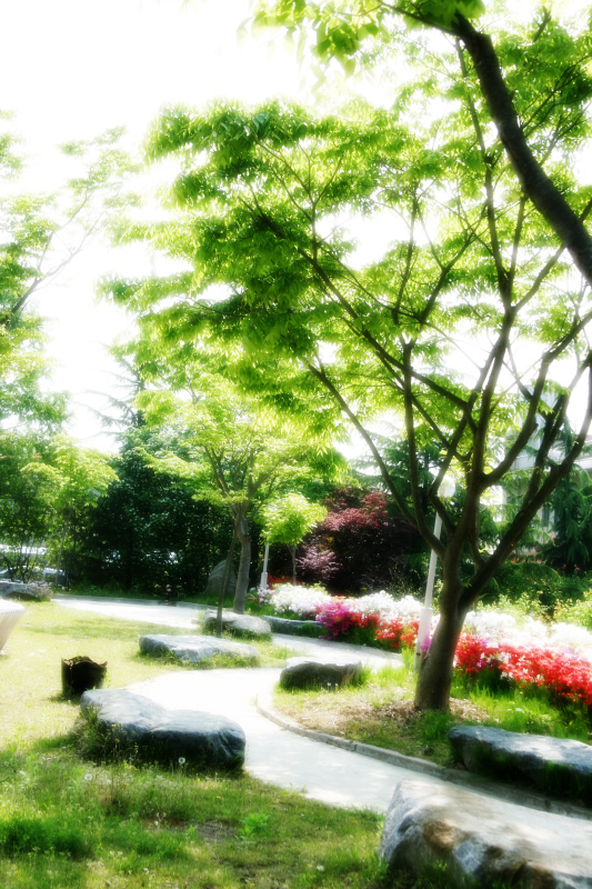 선우치매센타 이미지 4