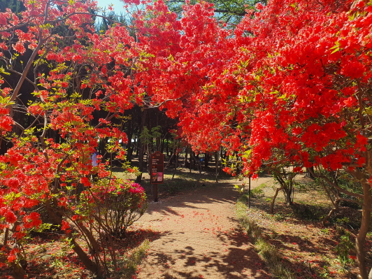 아가페노인전문요양원 이미지 7