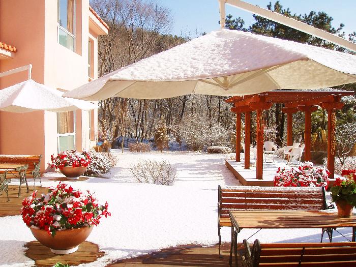 너싱홈그린힐 이미지 9