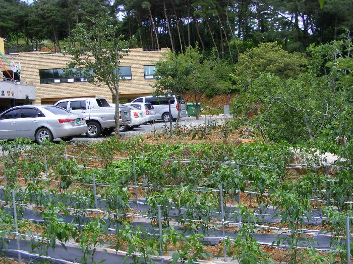 서산실버빌요양원 이미지 20