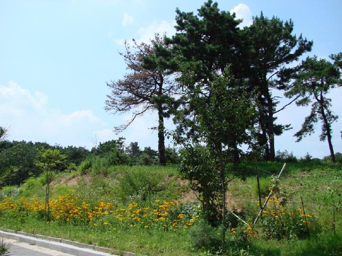 쌘뽈요양원 이미지 33