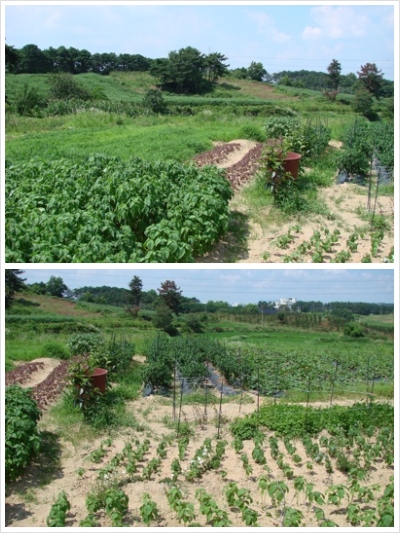 쌘뽈요양원 이미지 28