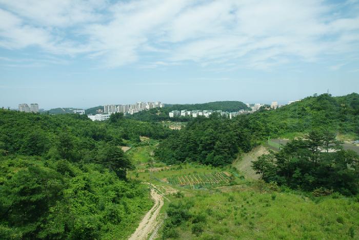 동해요양원 이미지 7