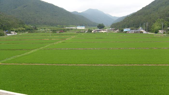 한올생명의집 이미지 22