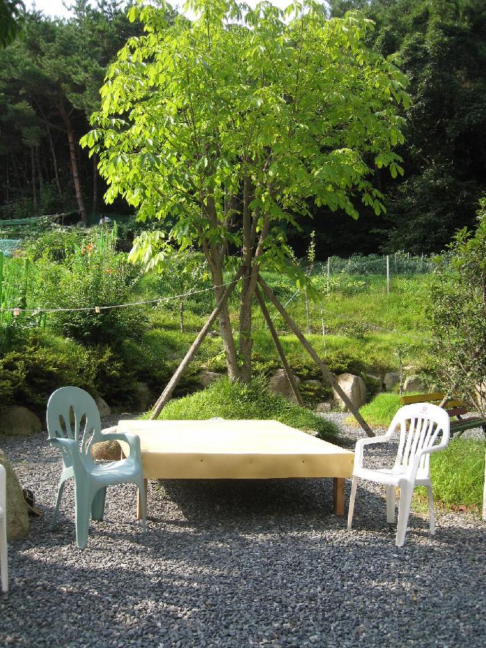 정화노인요양원 이미지 17