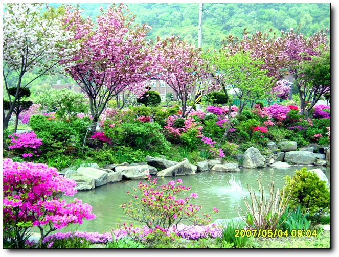 만수노인복지원 이미지 4