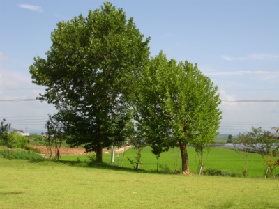 송산효도마을 이미지 6