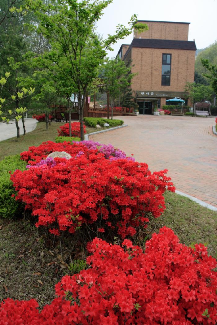 한마음너싱홈 이미지 5