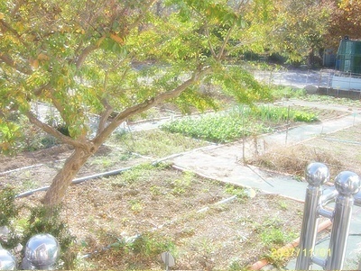 유락원 이미지 14