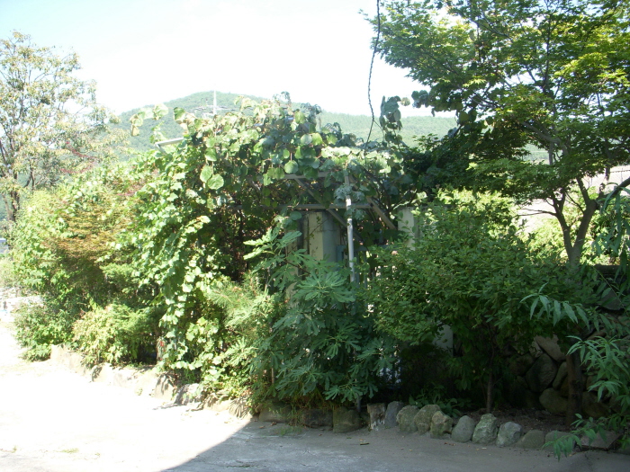 사랑의집 이미지 2