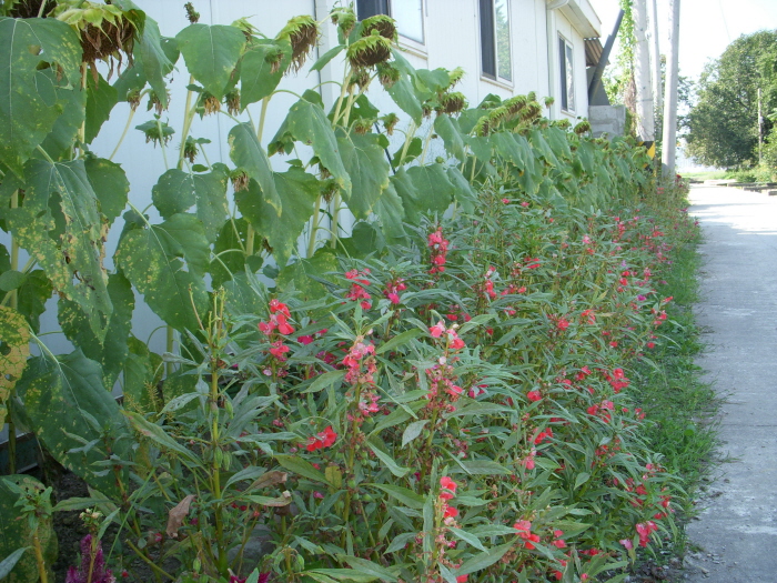 사랑의집 이미지 8