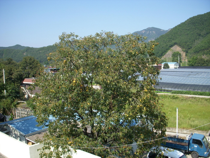 사랑의집 이미지 3