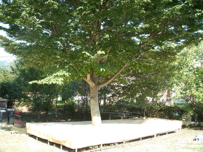 사랑의집 이미지 30