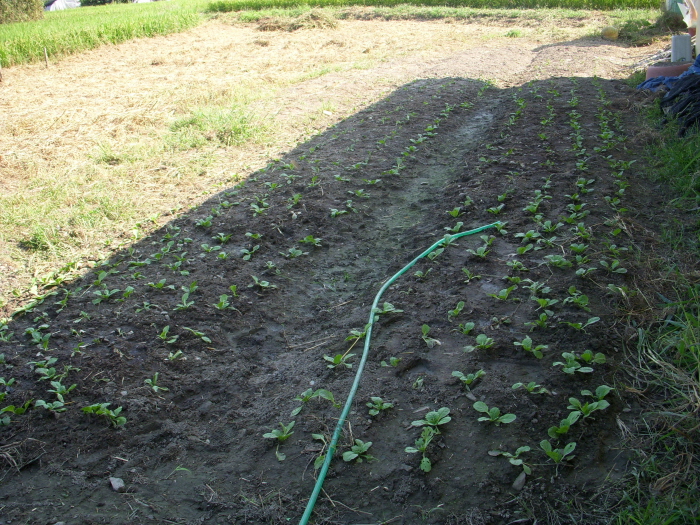 사랑의집 이미지 25