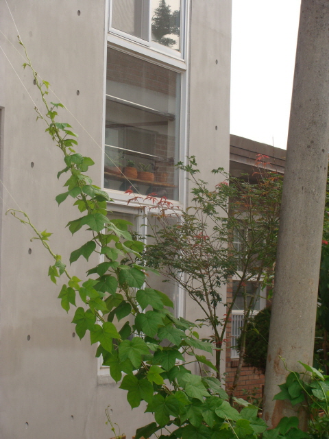 풀꽃세상 이미지 12