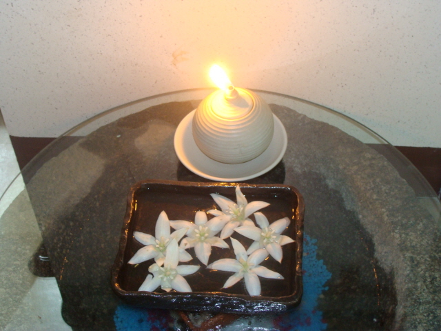 풀꽃세상 이미지 11