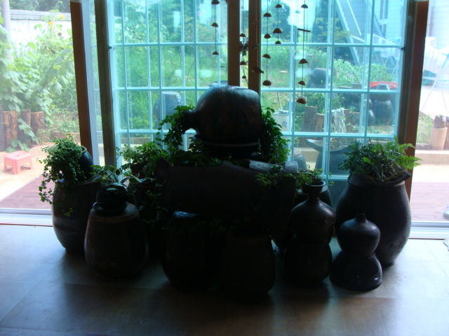 풀꽃세상 이미지 17